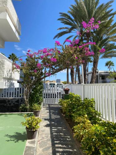 Apartamento Deluxe del hotel Oasis Playa Maspalomas. Foto 30