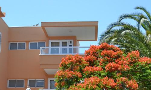 Habitación Doble Superior con vistas al mar - 1 o 2 camas del hotel Horizonte