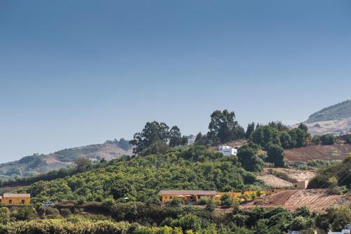 Habitación Doble con vistas al parque del hotel Finca Naturacanaria. Foto 8