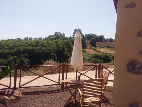 Habitación Doble con vistas al parque del hotel Finca Naturacanaria. Foto 40