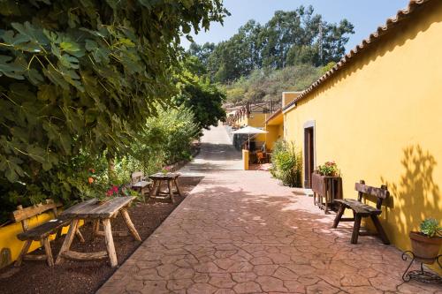 Casa del hotel Finca Naturacanaria. Foto 11