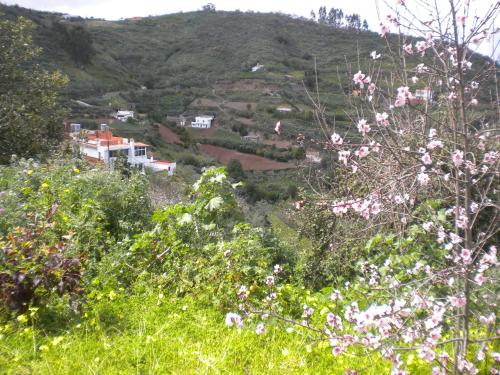 Casa del hotel Finca Naturacanaria. Foto 15