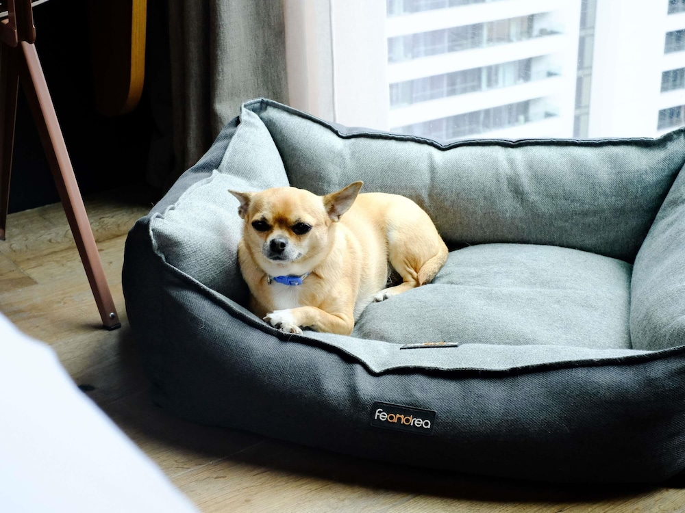 Habitación de diseño (TRIBE Extra) del hotel Tribe London Canary Wharf. Foto 4