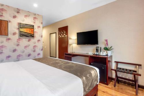 Habitación con cama extragrande adaptada para persona de movilidad reducida - No fumadores del hotel The L. Foto 3