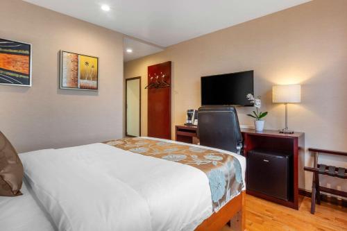 Habitación Doble Efficiency - No fumadores del hotel The L. Foto 1