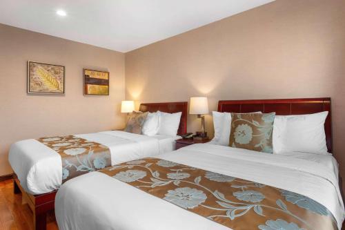 Habitación Doble con 2 camas dobles - No fumadores del hotel The L. Foto 1