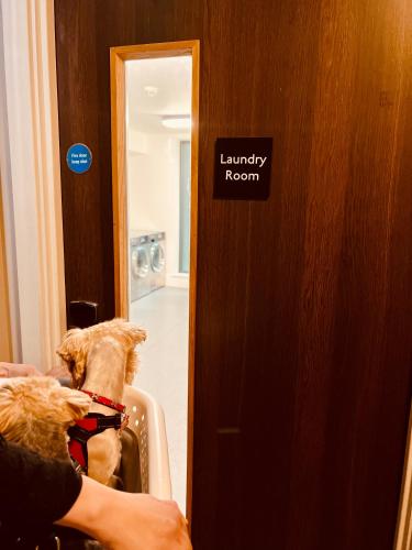 Estudio Suite del hotel Staybridge Suites London Heathrow - Bath Road, an IHG Hotel. Foto 6
