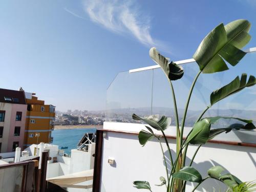Suite con terraza del hotel Wavia - Adults Only. Foto 12