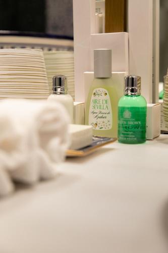 Habitación Doble Deluxe - 1 o 2 camas del hotel Casa Palacio Don Ramón. Foto 11