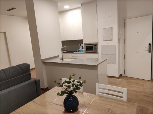 Apartamento con balcón del hotel Iberflat Trinidad. Foto 23