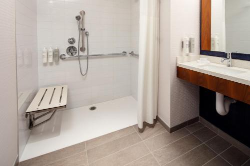 Habitación con ducha a ras de suelo, adaptada para personas de movilidad reducida - Cama extragrande del hotel Hampton Inn New York Times Square. Foto 1