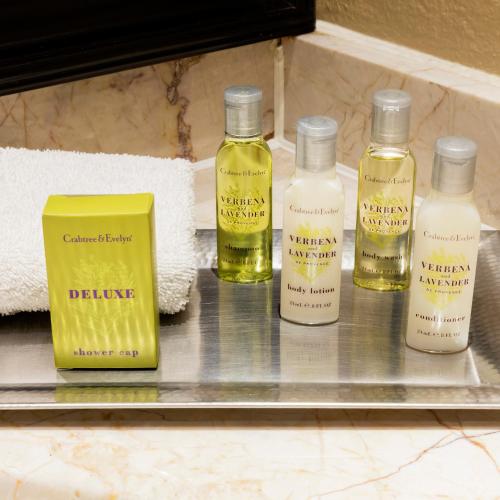 Estudio Plus con cama extragrande del hotel Hilton Club The Central at 5th New York. Foto 4