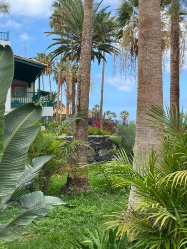 Estudio Deluxe del hotel Estefanía Boutique Suites