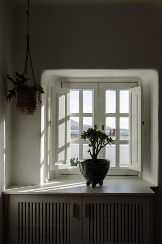 Suite con terraza del hotel Cesar Lanzarote. Foto 7