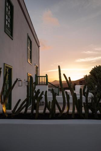 Suite with Terrace del hotel Cesar Lanzarote. Foto 6