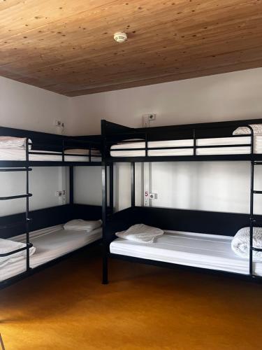 Cama en habitación compartida masculina de 4 camas con ducha privada. Baños compartidos. del hotel de Jeunesse Paris Yves Robert. Foto 4