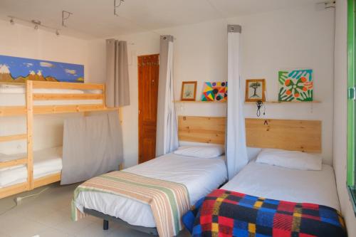 Cama individual en habitación compartida - 4 camas del hotel La Palma Hostel - Pensión Central. Foto 1