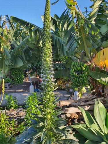 Habitación Doble con baño privado - 2 camas del hotel La Raya 1866. Foto 3