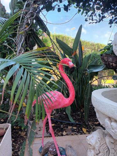 Apartamento Superior del hotel Bogotá. Foto 15