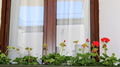 Suite Deluxe con cama extragrande del hotel CASA VERDE. Foto 6