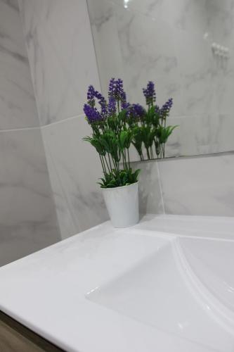 Apartamento Deluxe del hotel CASA VERDE. Foto 2