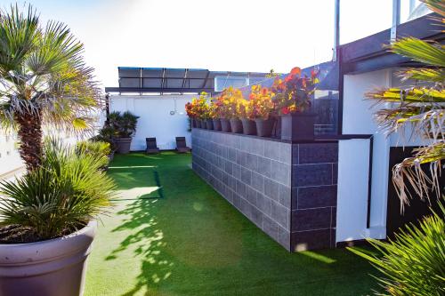 Apartamento Superior de 1 dormitorio del hotel Coccoloba Suites Corralejo. Foto 13