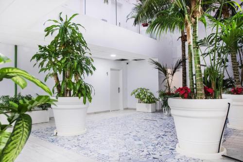 Apartamento Superior del hotel Coccoloba Suites Corralejo. Foto 17