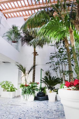 Apartamento Superior del hotel Coccoloba Suites Corralejo. Foto 18