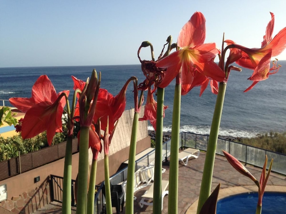 Apartamento, 1 habitación, terraza, vistas al mar del hotel Chijeré Faro del Inglés. Foto 13