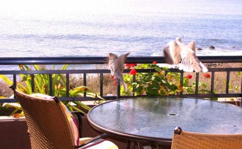 Apartamento con balcón del hotel Chijeré Faro del Inglés. Foto 17