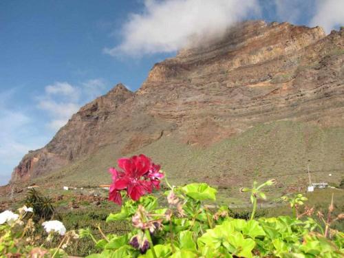 Apartamento de 1 dormitorio con terraza del hotel Chijeré Faro del Inglés. Foto 15