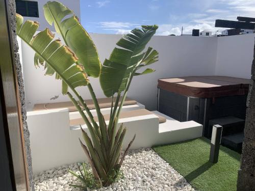 Apartamento con vistas a la montaña y bañera de hidromasaje del hotel Rural Finca Marisa. Foto 1