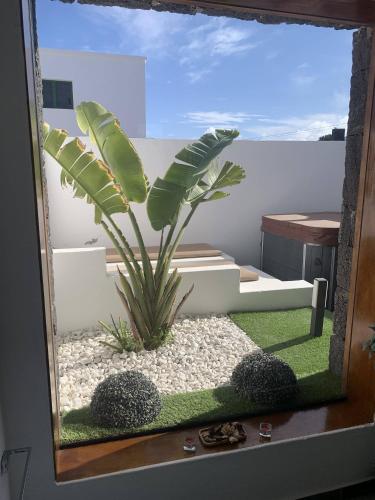 Apartamento con vistas a la montaña y bañera de hidromasaje del hotel Rural Finca Marisa. Foto 3