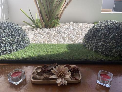 Apartamento con vistas a la montaña y bañera de hidromasaje del hotel Rural Finca Marisa. Foto 10