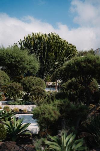 Apartamento con vistas al mar del hotel Eco-Hotel Costa Mágica. Foto 14