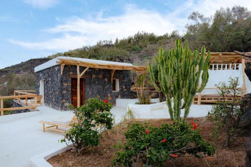 Suite con terraza del hotel Eco-Hotel Costa Mágica. Foto 3