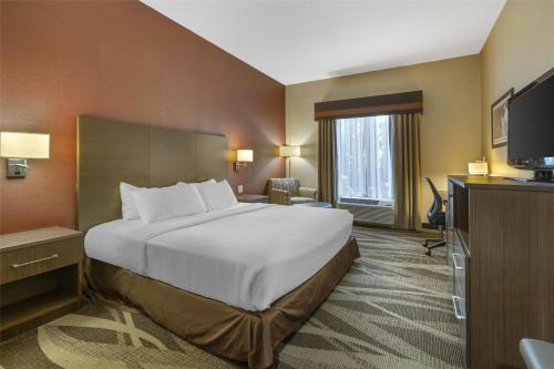 Habitación con cama extragrande y ducha a ras de suelo - Adaptada para personas de movilidad reducida/No fumadores del hotel Best Western Plus University Inn. Foto 1