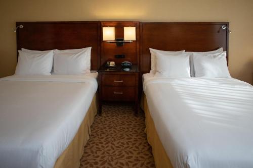 Habitación Doble Estándar del hotel Jake's 58 Casino - Adult Only. Foto 1