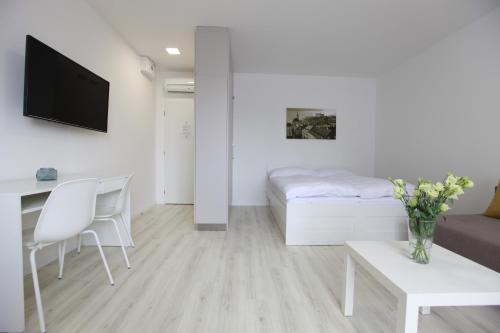 Apartamento Superior 1 Cama queen 1 habitación Sofá Cama incluido del hotel City Center Best Place Apartments. Foto 9