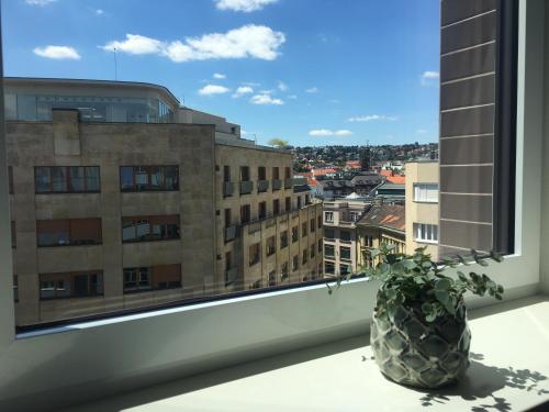 Apartamento con balcón del hotel City Center Best Place Apartments. Foto 3