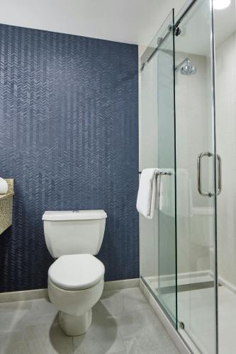 Habitación King con ducha accesible en silla de ruedas - Accesible para personas con movilidad reducida y con discapacidad auditiva del hotel Fairfield Inn And Suites By Marriott Albany Airport. Foto 9