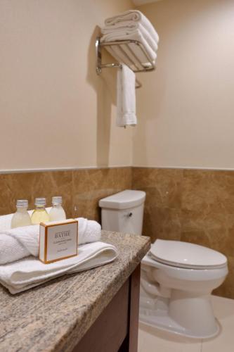 Estudio Deluxe con cama grande del hotel Holiday Inn Manhattan View. Foto 2