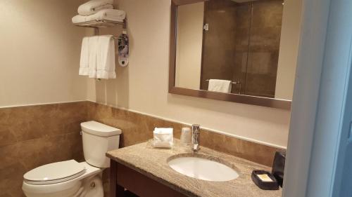 Habitación con cama extragrande - Adaptada para personas de movilidad reducida del hotel Holiday Inn Manhattan View. Foto 2