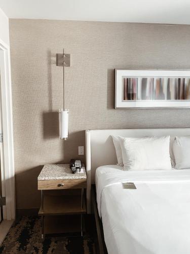 Habitación adaptada para personas con movilidad reducida - Cama grande del hotel Felix River North/magnificent Mile. Foto 3