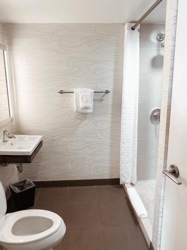 Habitación adaptada para personas con movilidad reducida - Cama grande del hotel Felix River North/magnificent Mile. Foto 4