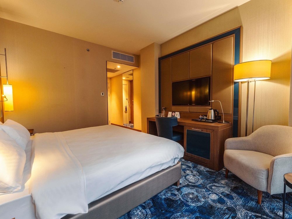 Habitación Clásica con 1 cama doble del hotel Tbilisi Philharmonic By Mercure. Foto 11