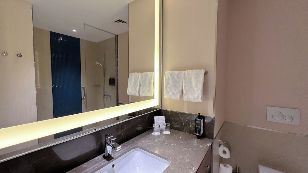 Habitación Clásica con 1 cama doble del hotel Tbilisi Philharmonic By Mercure. Foto 14
