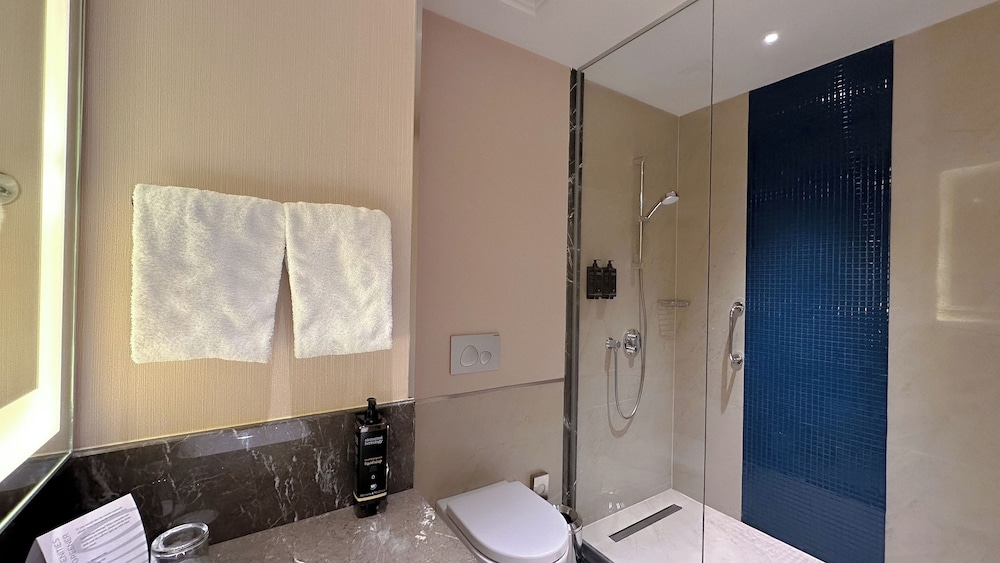 Habitación Clásica con 1 cama doble del hotel Tbilisi Philharmonic By Mercure. Foto 15
