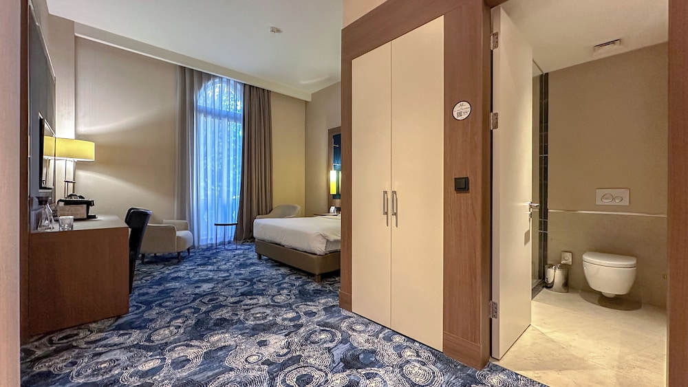 Habitación Deluxe con 1 cama doble con balcón del hotel Tbilisi Philharmonic By Mercure. Foto 8