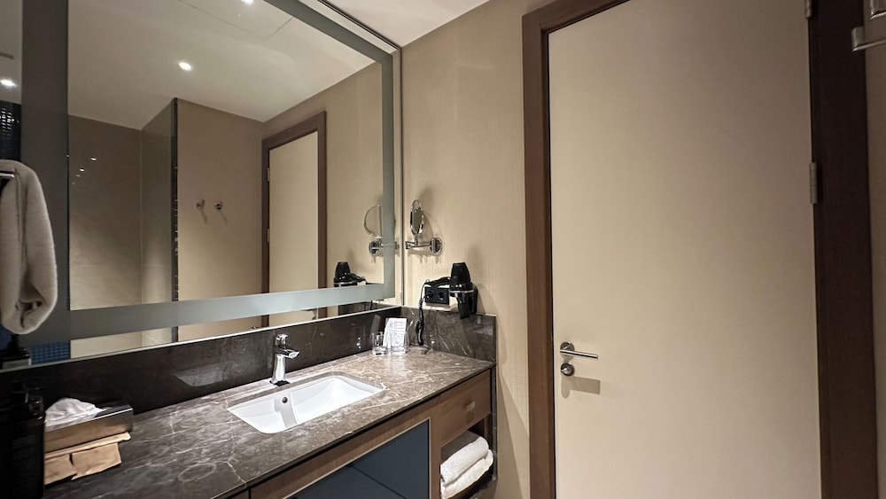 Habitación Deluxe con 1 cama doble con balcón del hotel Tbilisi Philharmonic By Mercure. Foto 15